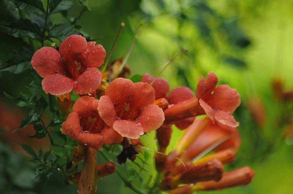  Flowers for Friendship: Easy ways to Send a Sweet Note That Makes People Feel Special